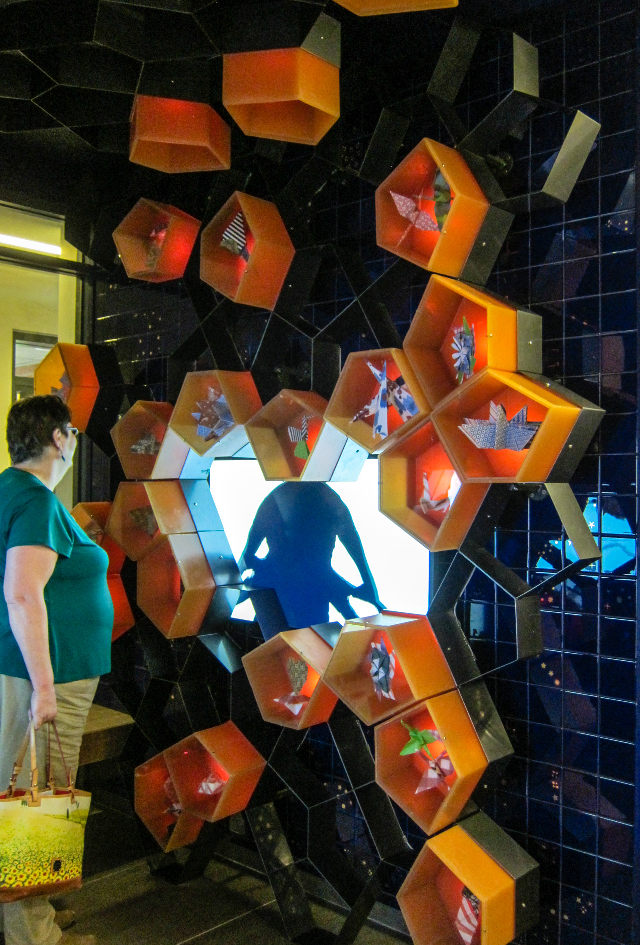 Horatio Law Installation